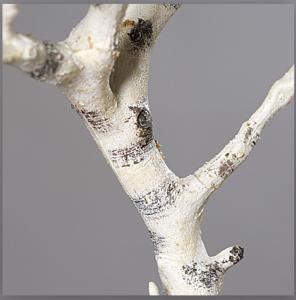 Branche artificielle Bouleau imitation bois - décoration d'intérieur - H.88cm blanc