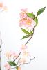 Fleur artificielle branche de cerisier rose clair 76 fleurs H.115cm
