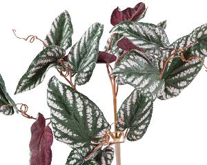 Feuillage artificiel Bégonia Muculata en piquet - plante d'intérieur - H.50cm