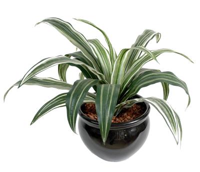 Feuillage artificiel Dracaena Warneki - plante en piquet - H.35cm vert blanc