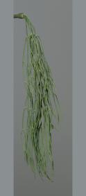 Feuillage artificiel chute de succulente - plante retombante d'intérieur - H.62cm