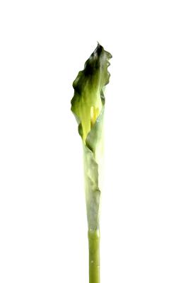 Fleur artificielle Arome XL haute qualité - composition bouquet - H.90 cm vert