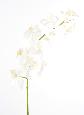 Fleur artificielle Orchidée Phalaenopsis en piquet - 11 fleurs et 7 feuilles - H.100cm blanc