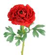 Fleur artificielle Renoncule en tissu - création de bouquet - H.58 cm rouge
