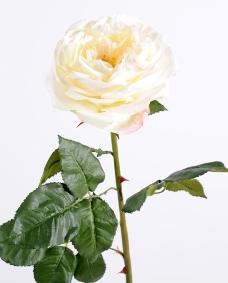 Fleur artificielle rose Anglaise Ø.14cm - haute gamme - H.85cm crème