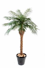 Palmier artificiel Phoenix - plante artificielle d'intérieur - H.210cm vert