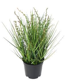 Plante artificielle Berry Onion Grass en pot - intérieur - H.35cm vert