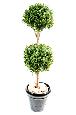 Plante artificielle Buis double boule - intérieur extérieur - H.140cm vert