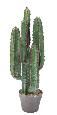 Plante artificielle Cactus 5 branches - Plante synthétique intérieur - H.77cm vert
