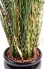 Plante artificielle Herbe luxe Onion Grass en pot - intérieur - H. 95cm vert jaune