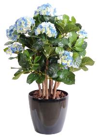 Plante artificielle Hortensia buisson - fleurs pour intérieur - H.80cm bleu
