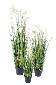 Plante artificielle Papyrus Scirpus Validus fleuri en pot - intérieur - H. 60cm