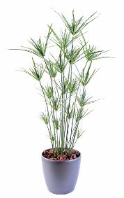 Plante artificielle Papyrus ornemental plastique en pot - intérieur extérieur - H.110cm vert