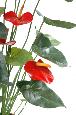Plante artificielle fleurie Anthurium en pot - décoration d'intérieur - H.75cm rouge