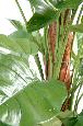 Plante verte artificielle Pothos géant tuteur coco - intérieur - H.150cm