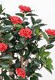 Arbre artificiel Camélia du japon 8 fleurs - intérieur - H.130cm rouge