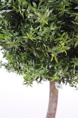 Arbre artificiel Eucalyptus Plast tige - plante intérieur extérieur - H.110  cm vert