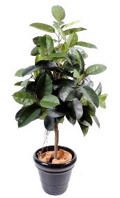 Arbre artificiel Ficus elastica - plante synthétique - H.180cm