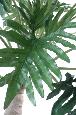 Arbre artificiel tropical Philodendron Selloum - plante d'intérieur - H.210cm vert