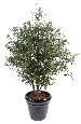 Arbre fruitier artificiel Olivier buisson et olives - plante pour intérieur - H.140 cm