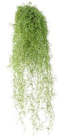 Feuillage artificiel chute de Tillandsia - mousse espagnole - H.60cm vert