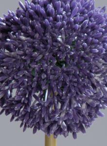 Fleur artificielle Allium ail d'ornement - composition bouquet - H.67cm lavande