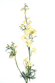 Fleur artificielle Delphinium - création de bouquet - H.70 cm jaune