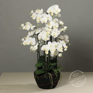 Fleur artificielle Orchidée Phalaenopsis en motte - plante d'intérieur - H.110cm crème