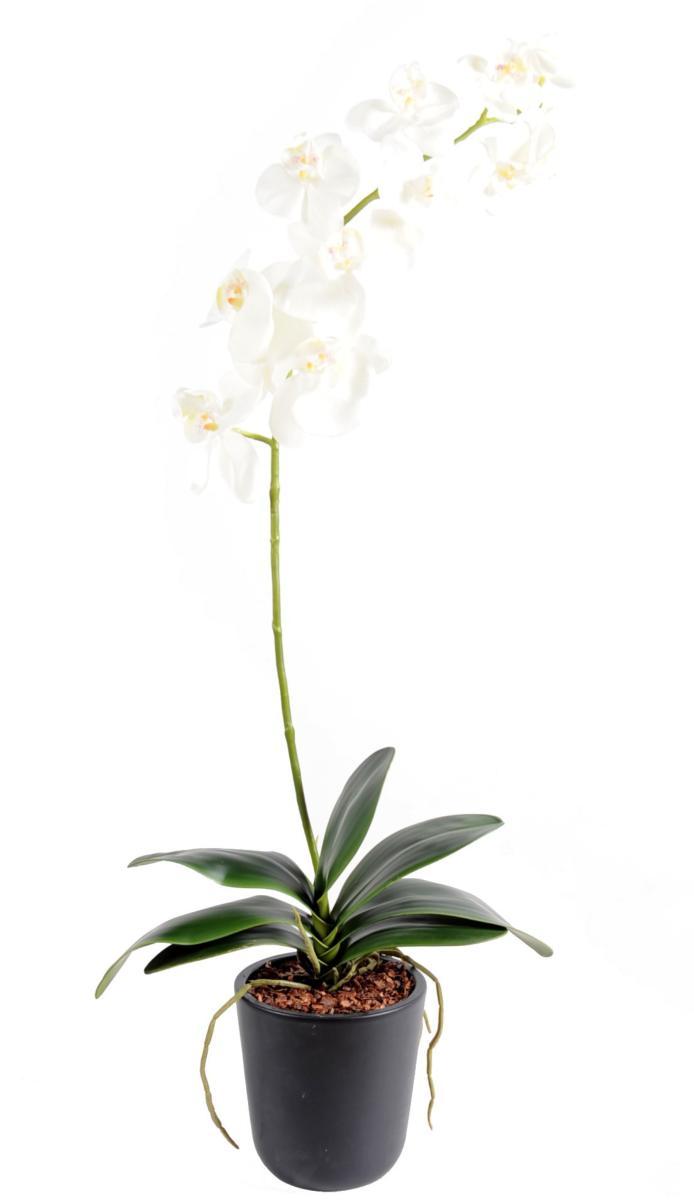 Fleur artificielle Orchidée Phalaenopsis en piquet - 11 fleurs et 7  feuilles - H.100 cm blanc