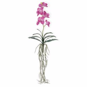 Fleur artificielle Orchidée Wanda feuillage et racines H.58cm fuchsia