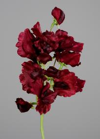 Fleur artificielle Pois de senteur - composition florale - H.46cm pourpre