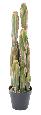 Plante artificielle Cactus Finger 6 troncs - Plante pour intérieur - H.95cm vert