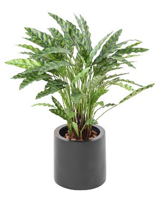 Plante artificielle Calathea en pot - décoration d'intérieur - H.84cm vert