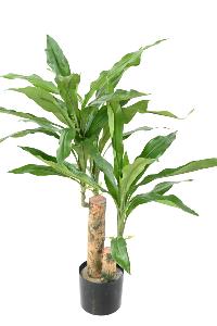 Plante artificielle Dracaena Fragrans Stud - déco d'intérieur - H.60cm vert