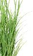 Plante artificielle Lemon Grass en pot - graminée pour intérieur - H.90cm