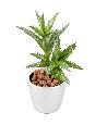 Plante artificielle Succulente Mini - cactus artificiel intérieur - H.18cm