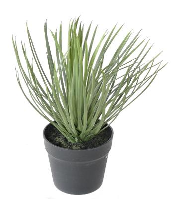 Plante artificielle Yucca Rostrata - intérieur extérieur - H.40cm vert