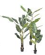 Plante tropicale artificielle Arbre du voyageur - plante intérieur - H.220cm