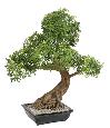 Bonsaï Aralia arbre miniature en coupe - plante synthétique intérieur - H.95cm