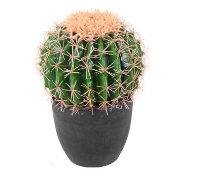 Cactus artificiel Echino - plante synthétique d'intérieur - H. 27cm vert