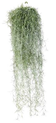 Feuillage artificiel chute de Tillandsia - mousse espagnole - H.60cm vert gris
