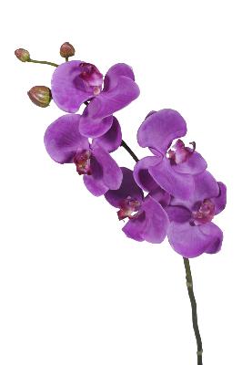 Fleur artificielle Orchidée Phalaenopsis 5 fleurs - Fresh Touch - H.72 cm violet