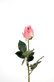 Fleur artificielle coupée rose bouton Lisa - natural touch - H.60cm rose