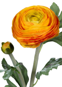 Fleur artificielle tige de Renoncule - création de bouquet - H.57cm orange