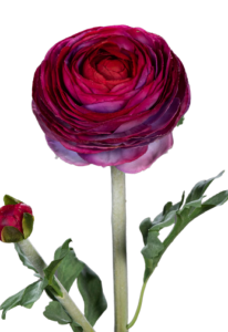 Fleur artificielle tige de Renoncule - création de bouquet - H.57cm pourpre
