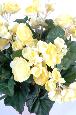 Fleurs artificielles Bégonia mini - plante en piquet - H.20 cm jaune