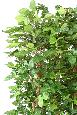 Haie artificielle Hêtre Grandifolia - structure en bois naturel - H.145cm