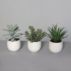Plante artificielle 3 succulentes en pot blanc - cactus d'intérieur - H.15cm