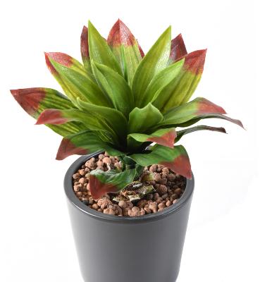 Plante artificielle Agave en piquet - cactus artificiel extérieur - H.35cm vert rouge