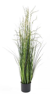 Plante artificielle Berry Onion Grass en pot - intérieur - H.120cm vert